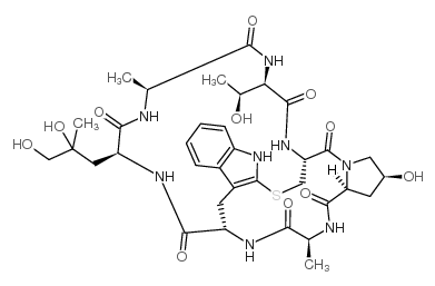 Phalloidin 17466-45-4